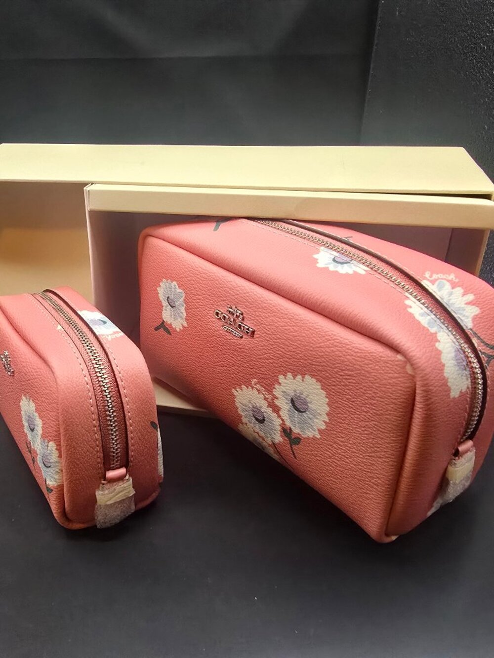 Coach Boxed Small and Mini Boxy Cosmetic Case Set with Daisy Print C3062 - Picture 2 of 5